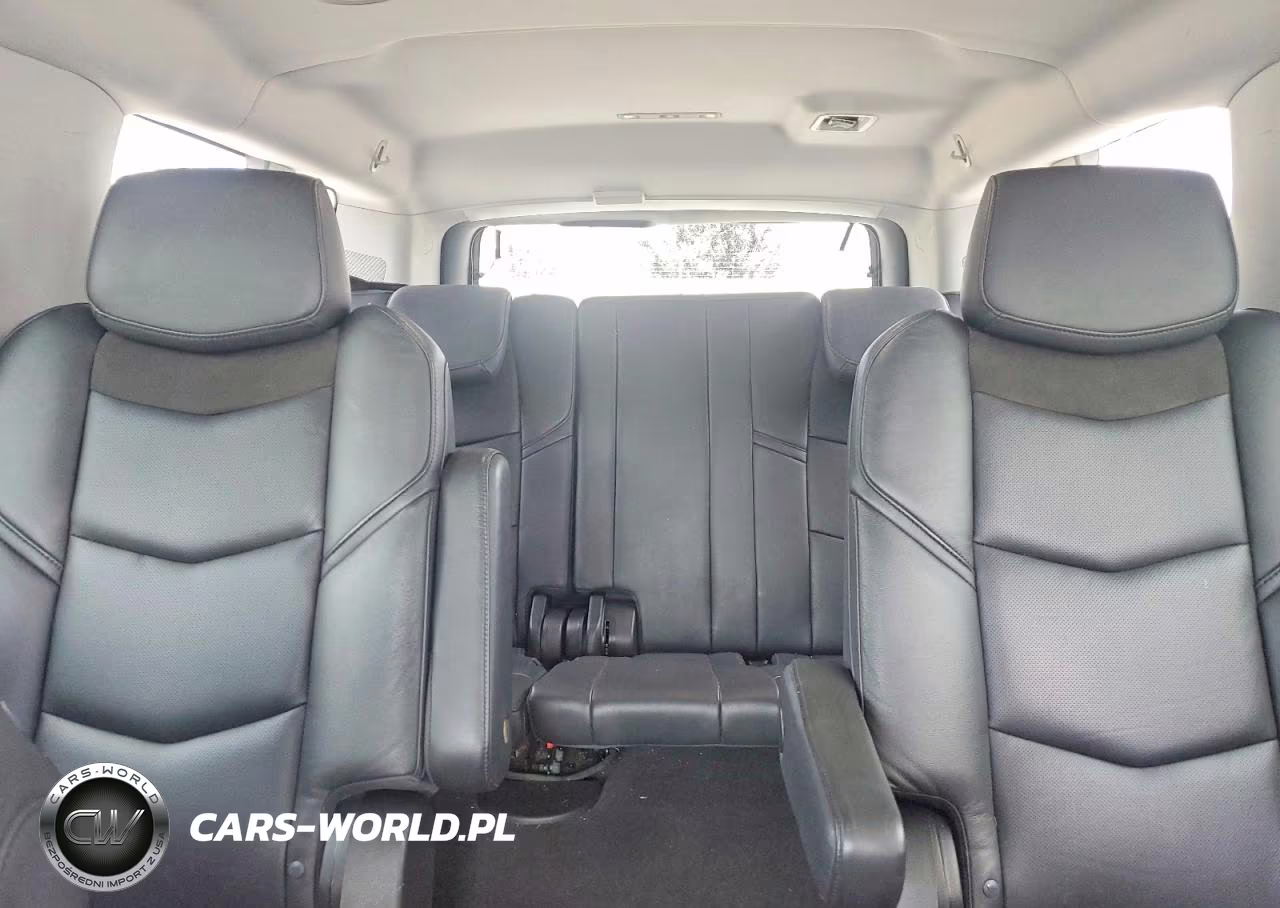 2020 Cadillac Escalade Esv Luxury VIN:1GYS3HKJ9LR139574 - 10