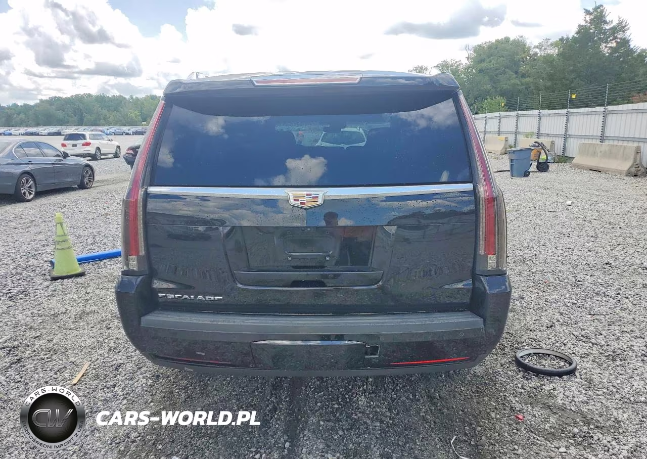 2020 Cadillac Escalade Esv Luxury VIN:1GYS3HKJ9LR139574 - 6