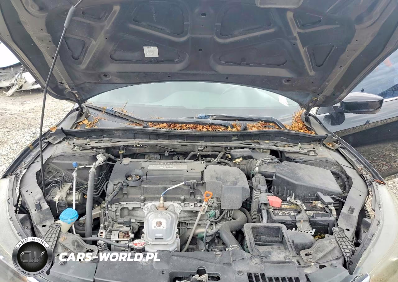2013 HONDA ACCORD SPORT VIN:1HGCR2F50DA083982 - 11