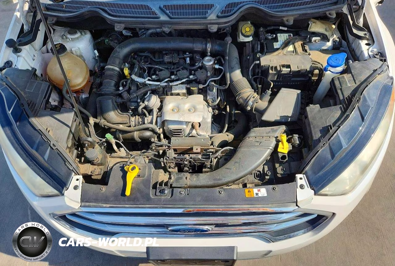 2018 Ford Ecosport Titanium VIN:MAJ3P1VE4JC172167 - 12