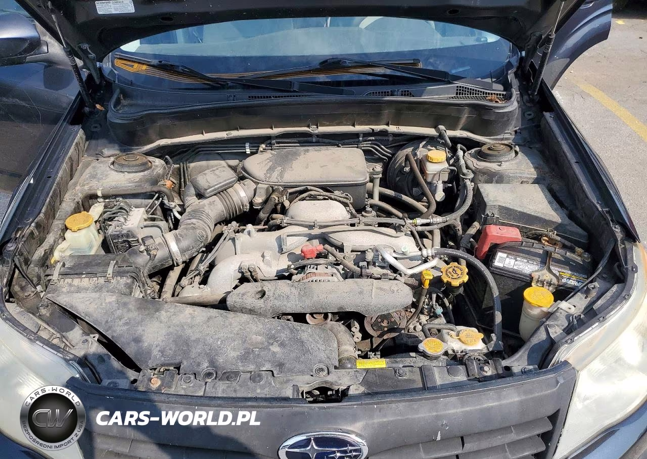 2010 Subaru Forester 2.5X Premium VIN:JF2SH6CCXAH737155 - 12