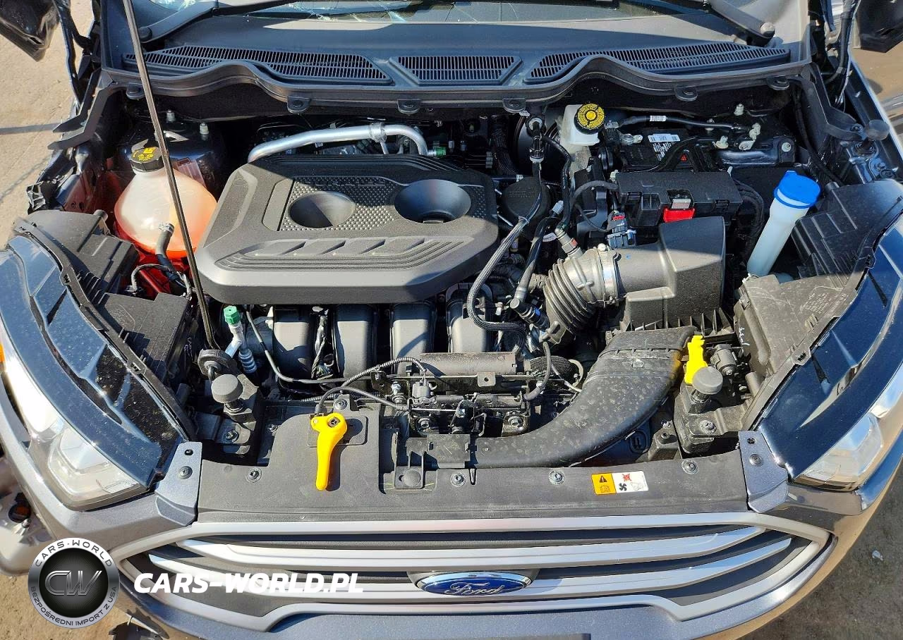 2020 Ford Ecosport Se VIN:MAJ6S3GL1LC354981 - 12