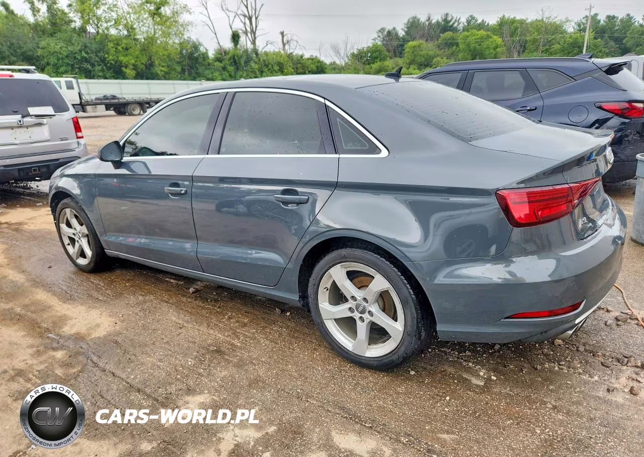 2019 Audi A3 Premium VIN:WAUAUGFF3K1011730 - 2