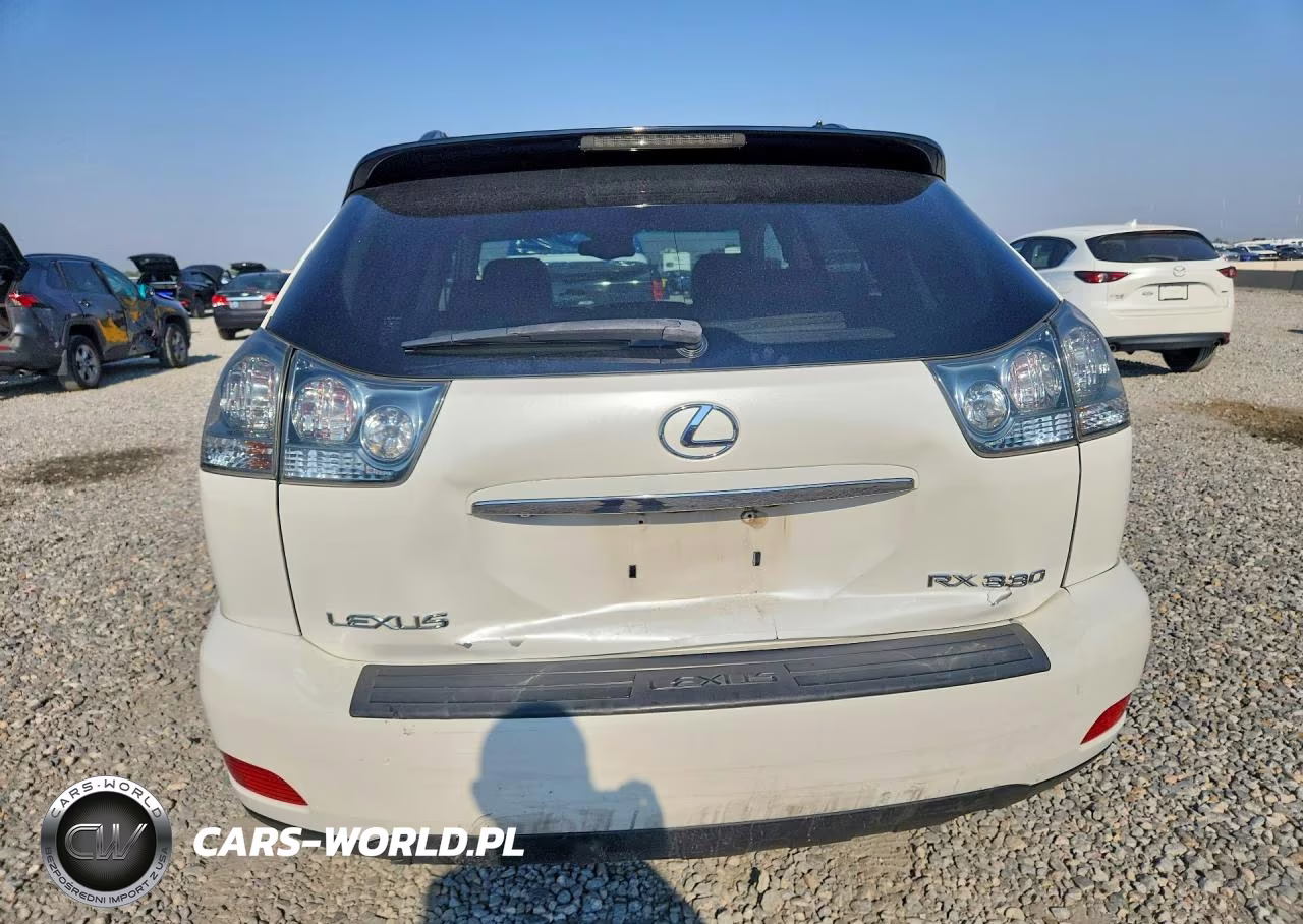 2004 Lexus Rx 330 VIN:JTJHA31U240047875 - 6