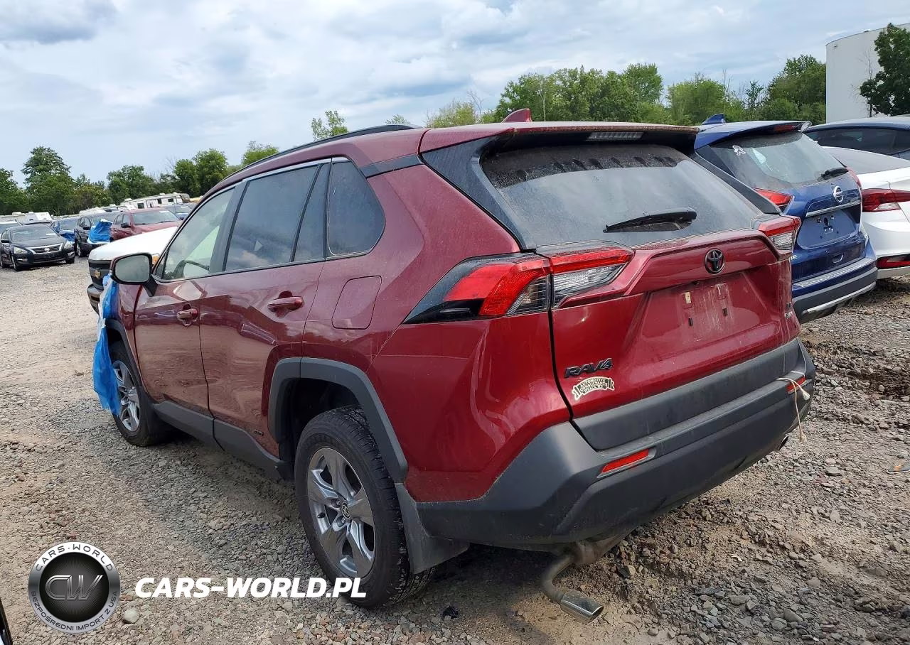 2025 Toyota Rav4 Le VIN:JTMMWRFV5SD300555 - 2