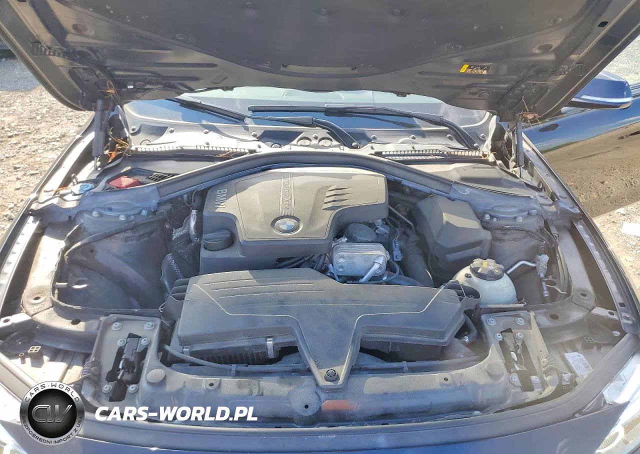 2017 BMW 320 Xi VIN:WBA8A3C33HA066763 - 11