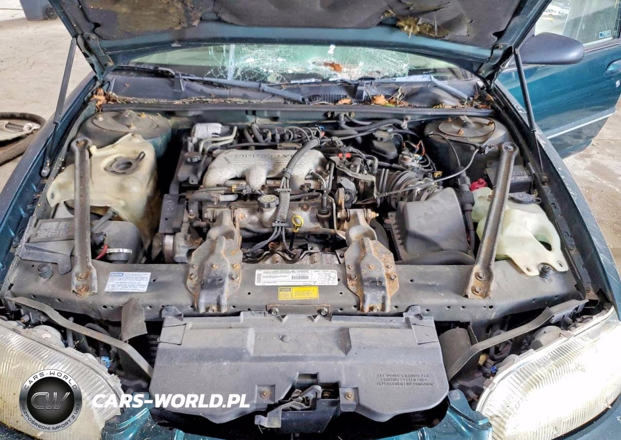 1998 Chevrolet Lumina Base VIN:2G1WL52M5W9232941 - 11