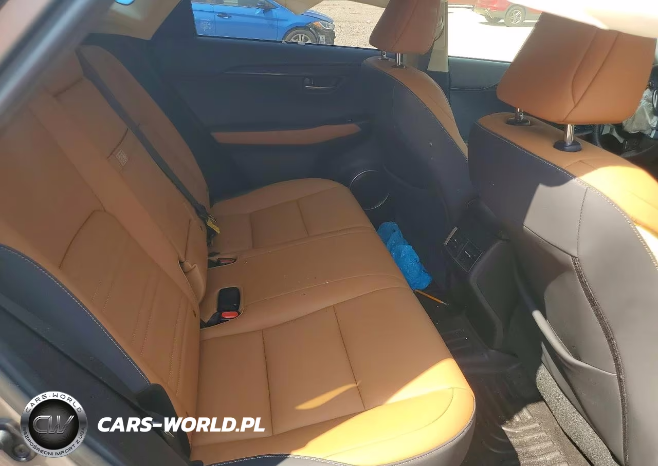 2020 Lexus Nx 300 Base VIN:JTJAARBZ5L2175531 - 11
