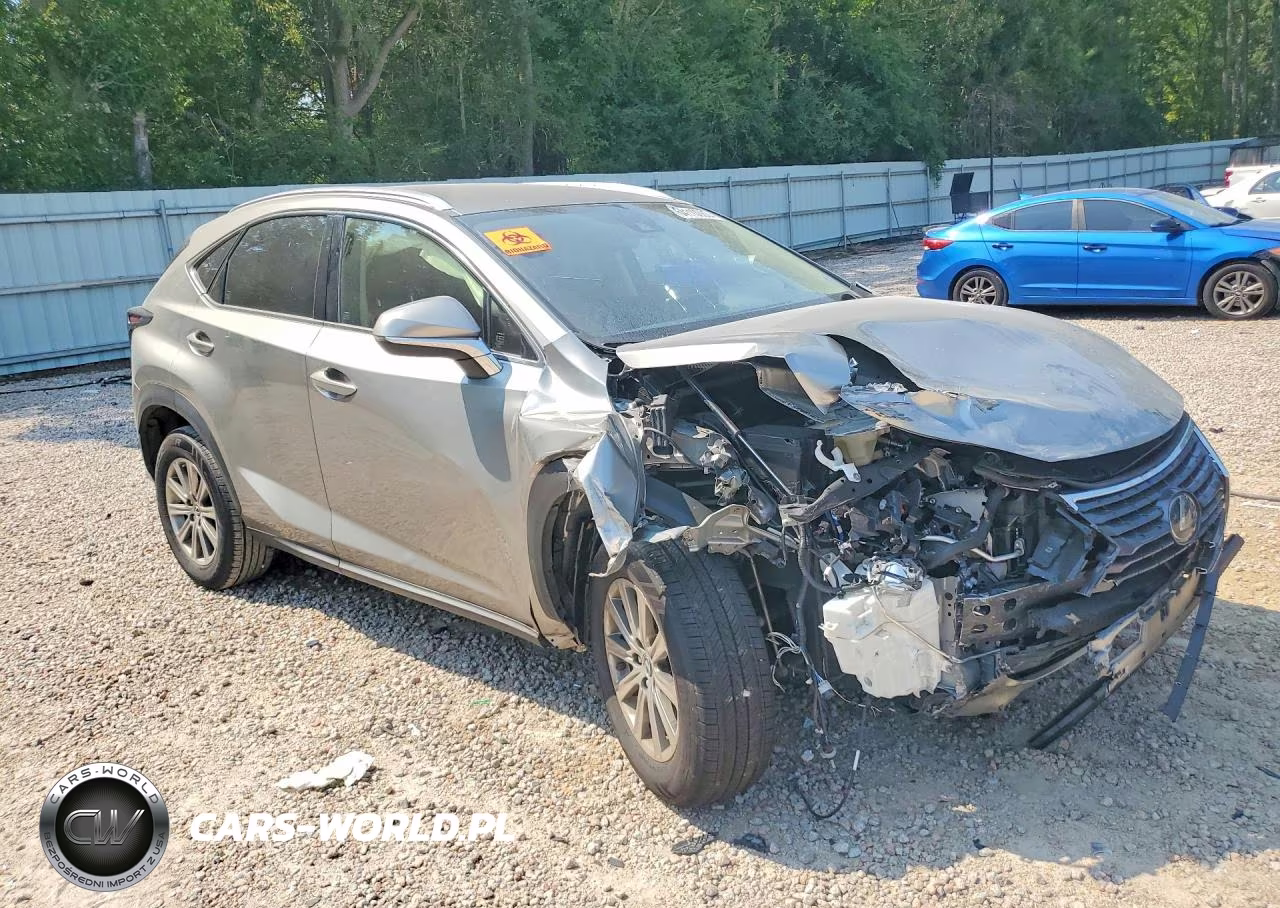 2020 Lexus Nx 300 Base VIN:JTJAARBZ5L2175531 - 4