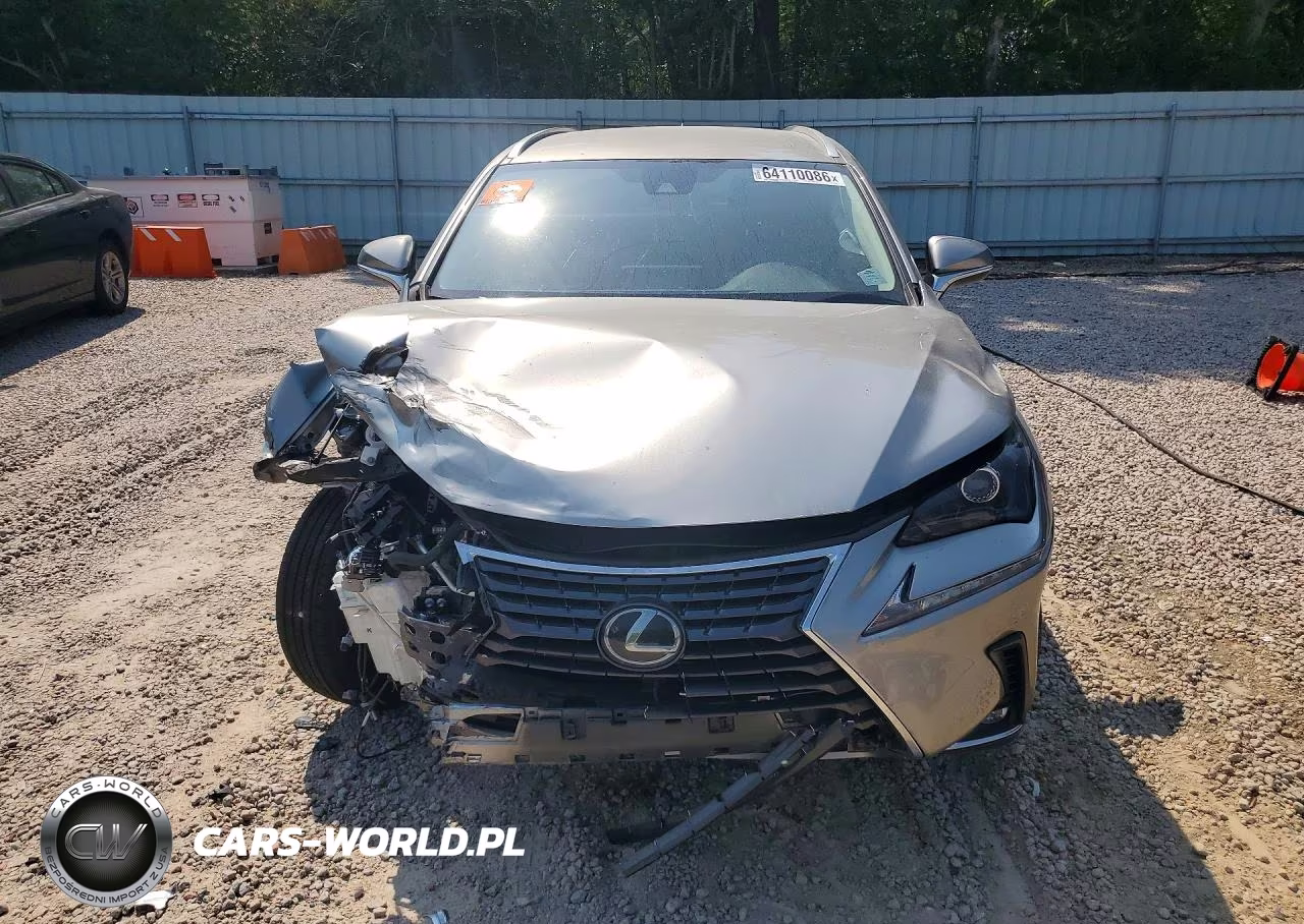 2020 Lexus Nx 300 Base VIN:JTJAARBZ5L2175531 - 5