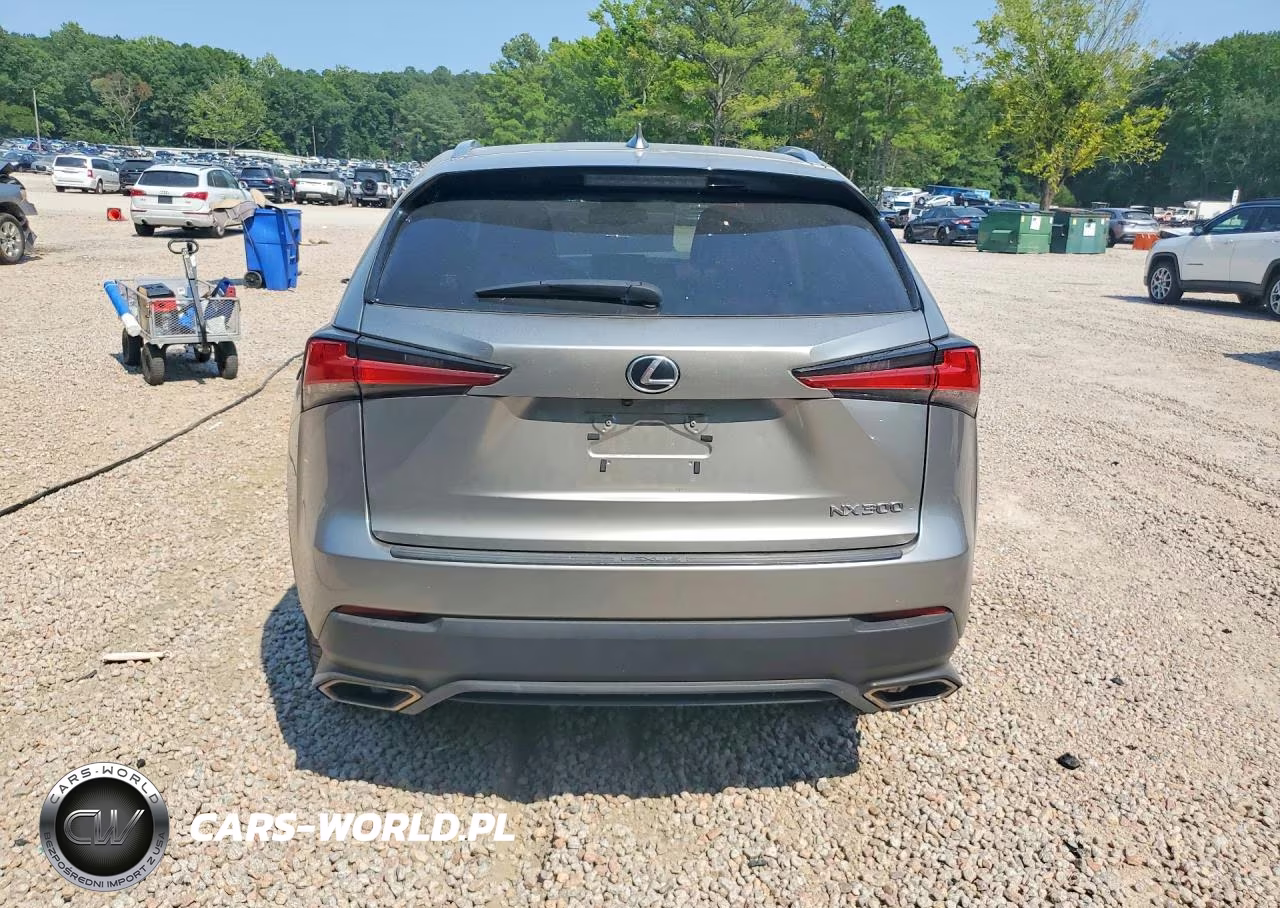 2020 Lexus Nx 300 Base VIN:JTJAARBZ5L2175531 - 6