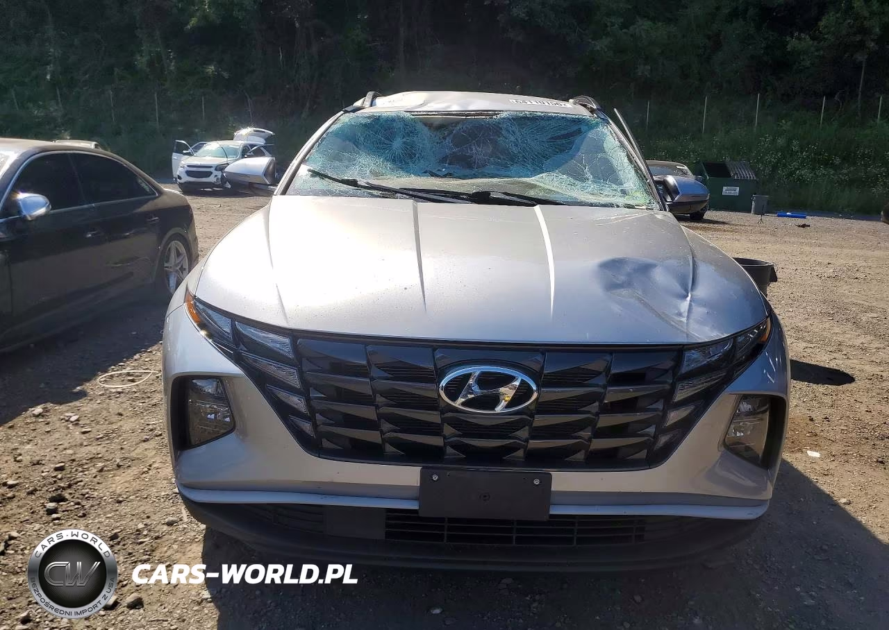 2023 Hyundai Tucson Sel VIN:5NMJBCAE7PH281749 - 5