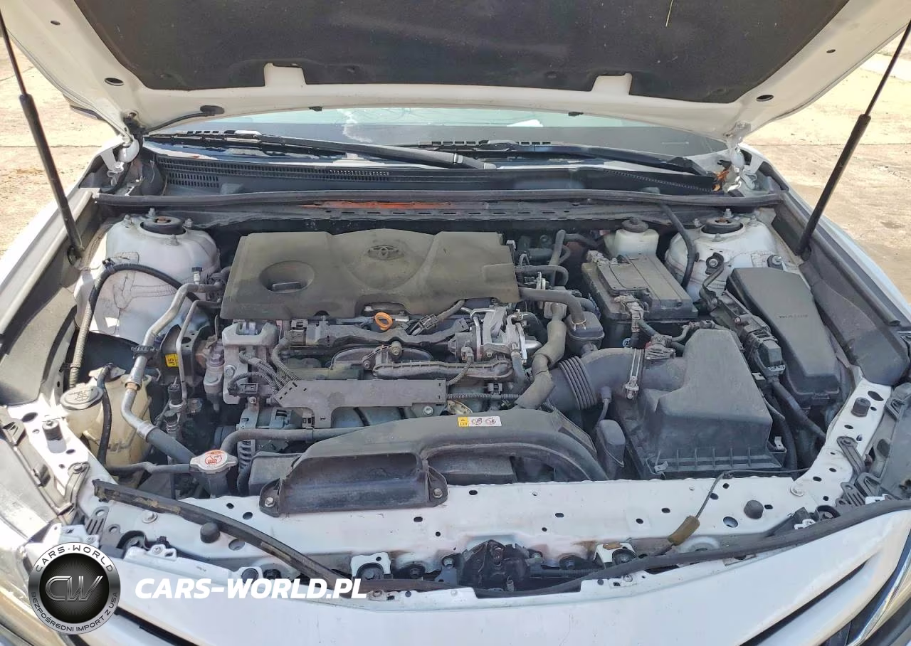 2019 Toyota Camry Xse VIN:4T1B61HK4KU248746 - 11