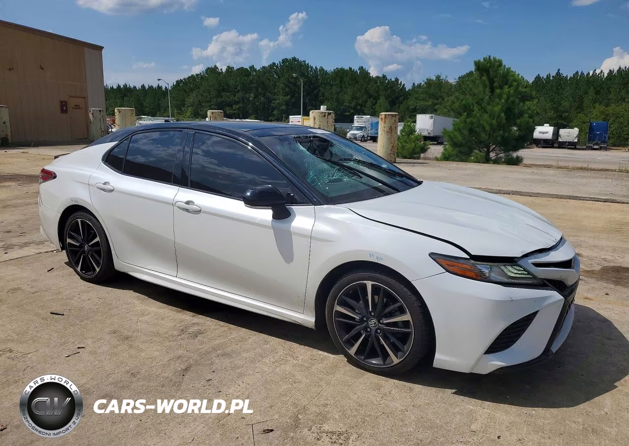 2019 Toyota Camry Xse VIN:4T1B61HK4KU248746 - 4