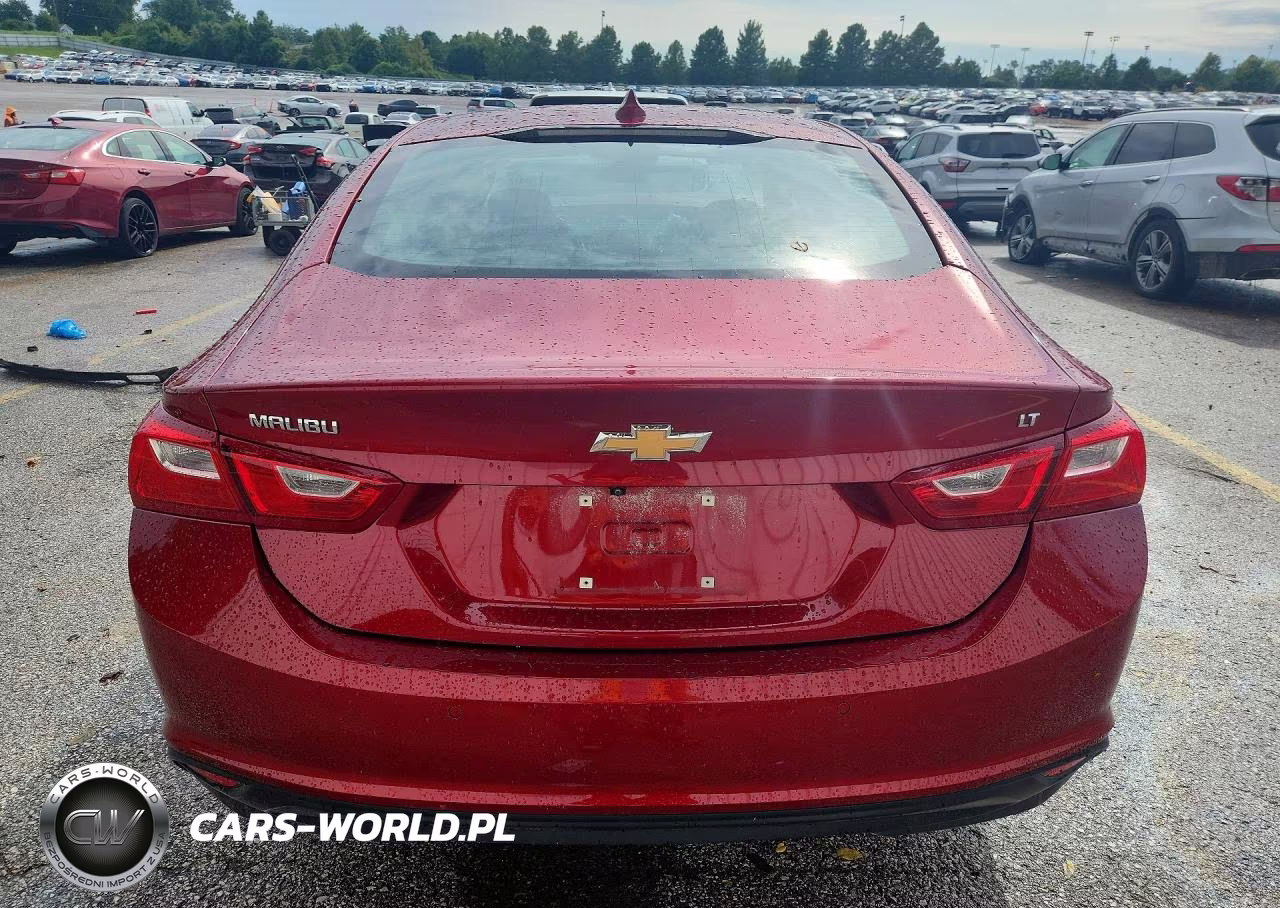 2024 Chevrolet Malibu Lt VIN:1G1ZD5ST5RF161088 - 6
