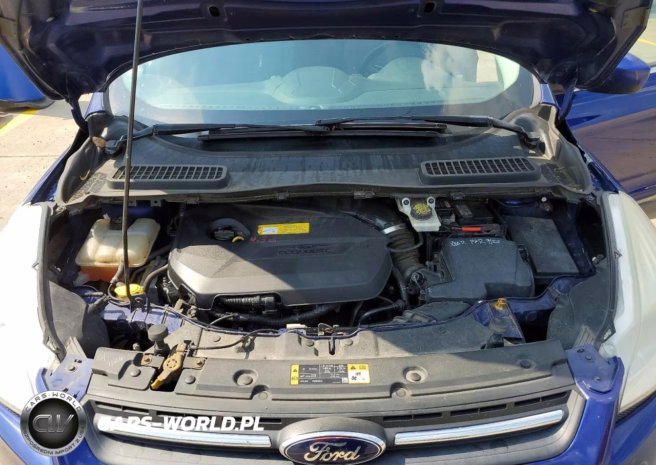 2016 Ford Escape Se VIN:1FMCU0GX5GUC38137 - 12