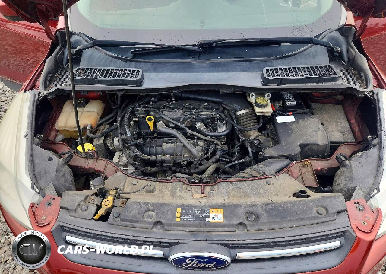 2014 Ford Escape Se VIN:1FMCU9GX8EUD42882 - 12