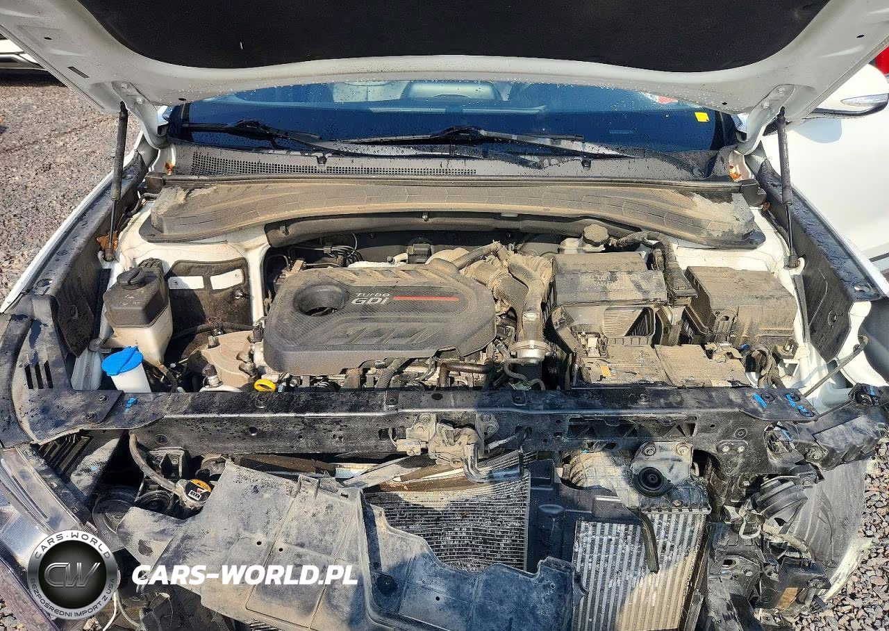 2020 Hyundai Santa Fe Sel 2.0T VIN:5NMS33AA5LH208839 - 11