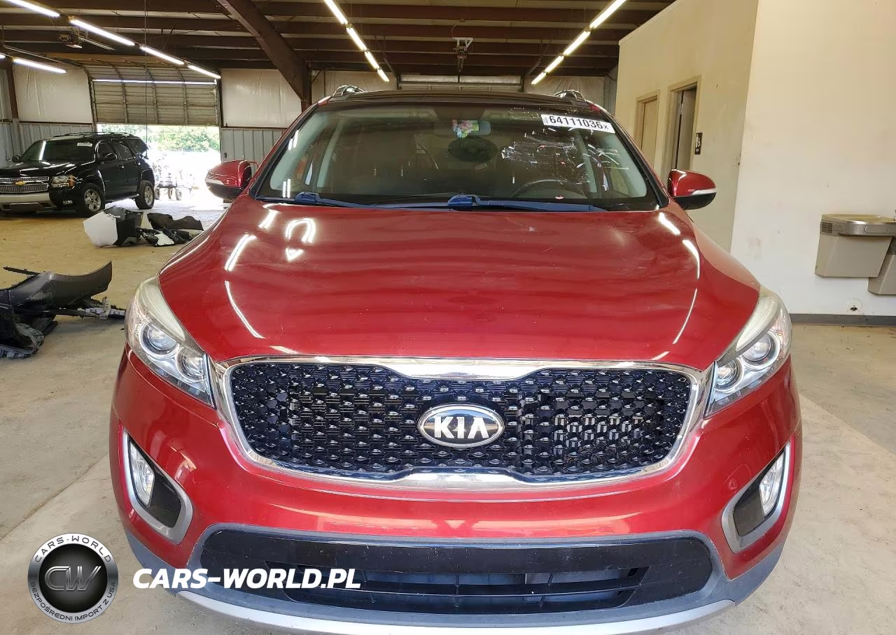 2016 Kia Sorento Ex VIN:5XYPH4A18GG116413 - 5