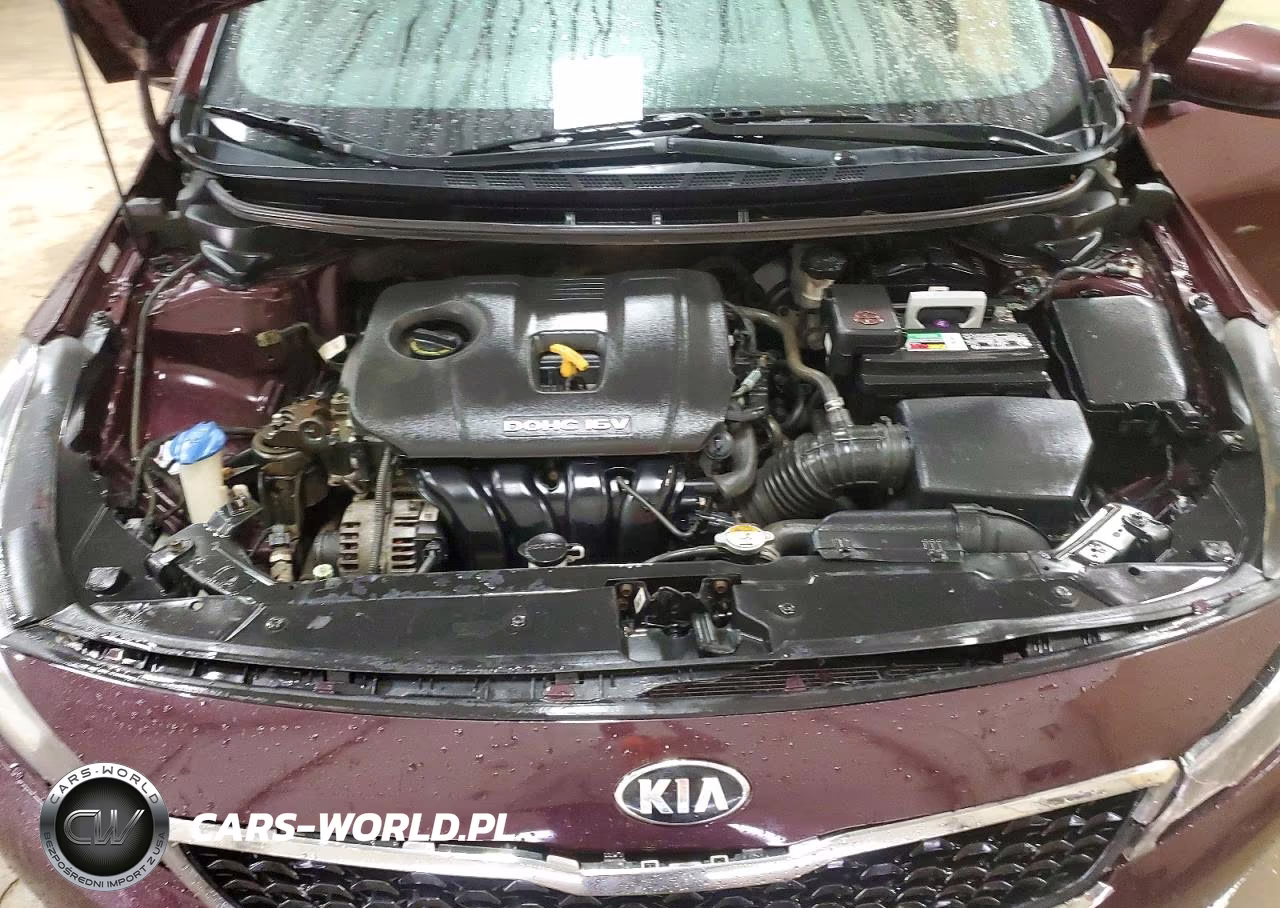 2017 Kia Forte Lx VIN:3KPFK4A78HE011709 - 11