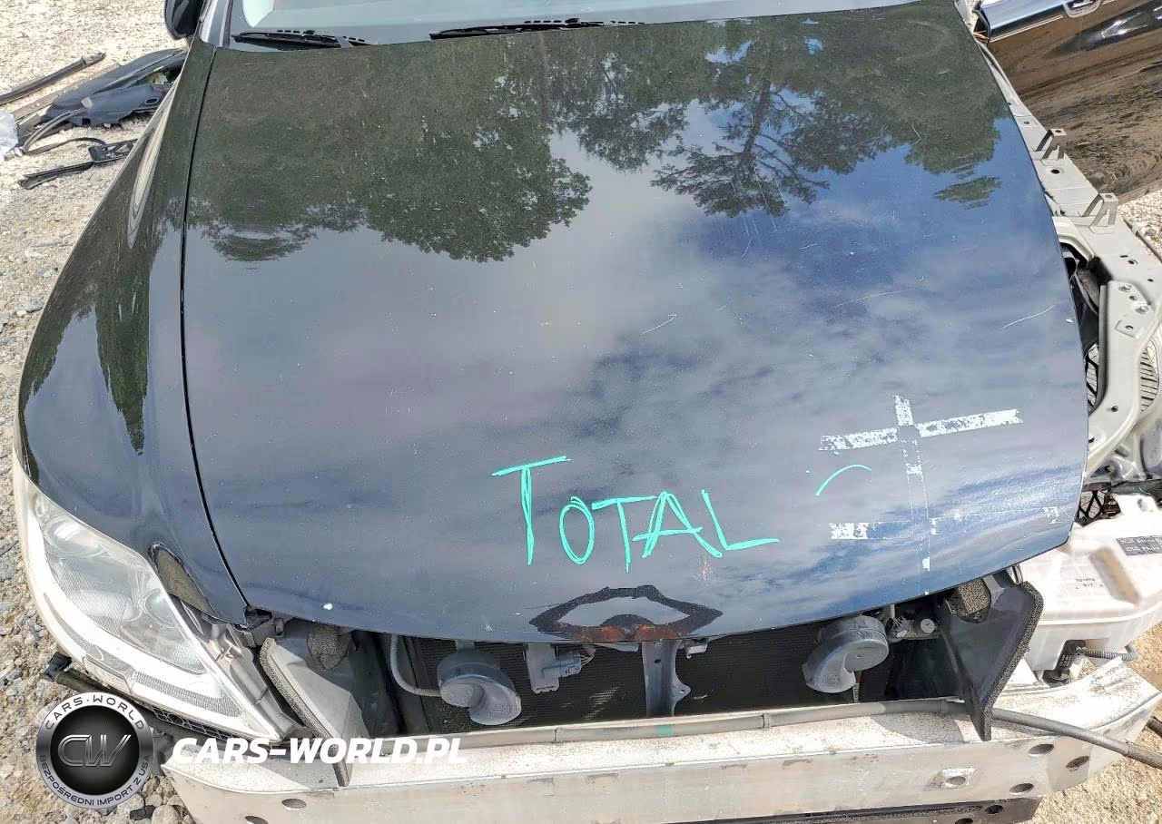 2008 Lexus Ls 460 VIN:JTHBL46F085068511 - 11