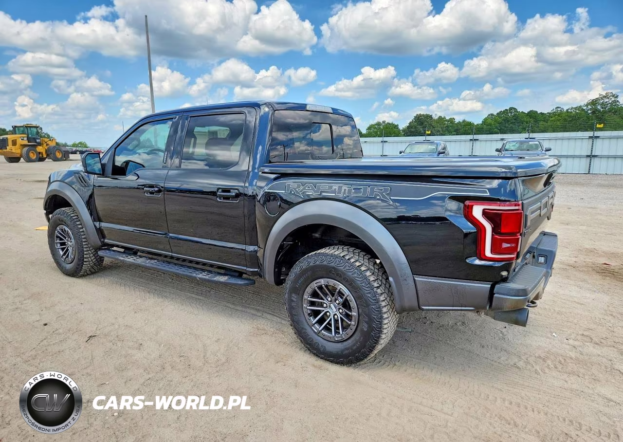 2019 Ford F150 Raptor VIN:1FTFW1RG2KFA07725 - 2