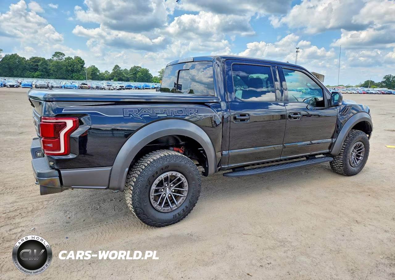 2019 Ford F150 Raptor VIN:1FTFW1RG2KFA07725 - 3