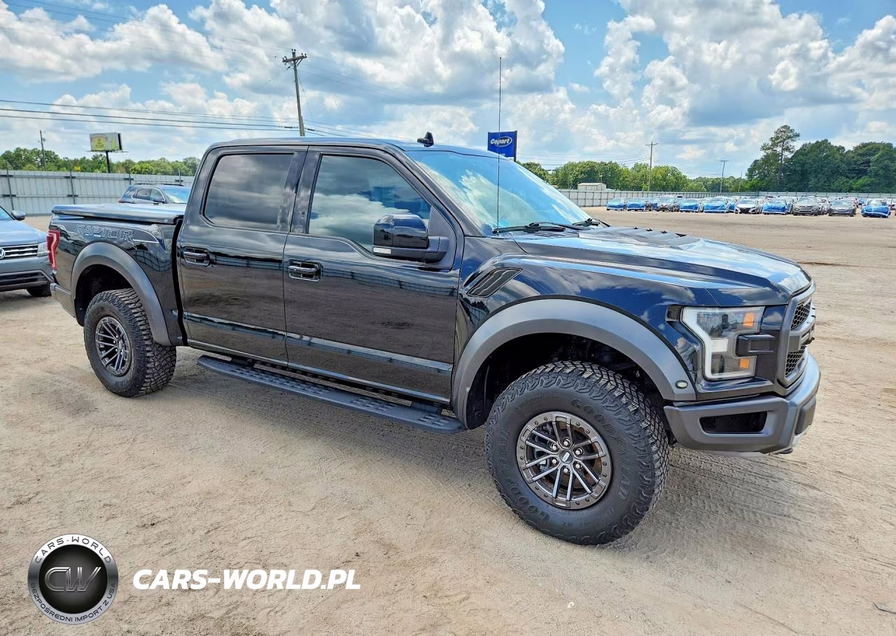 2019 Ford F150 Raptor VIN:1FTFW1RG2KFA07725 - 4