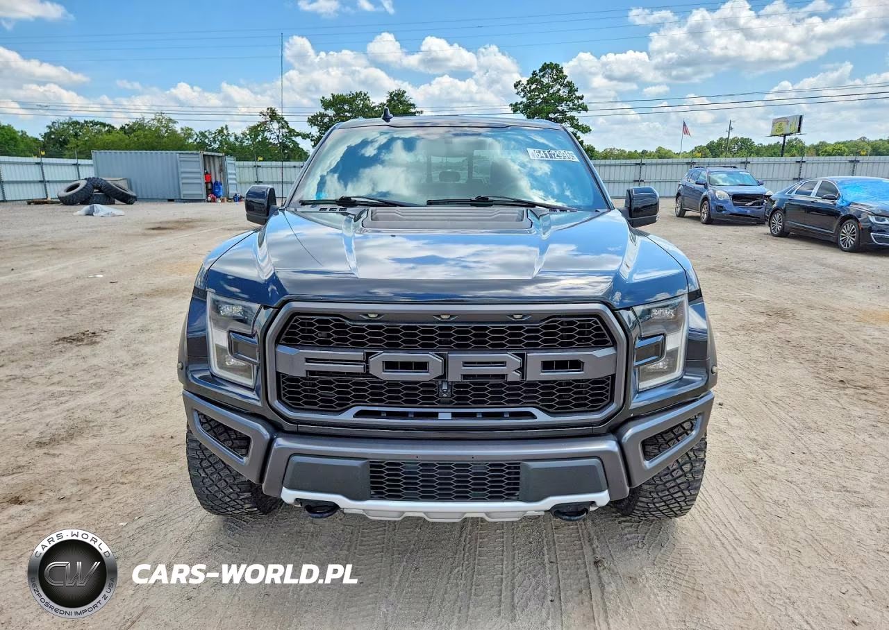 2019 Ford F150 Raptor VIN:1FTFW1RG2KFA07725 - 5