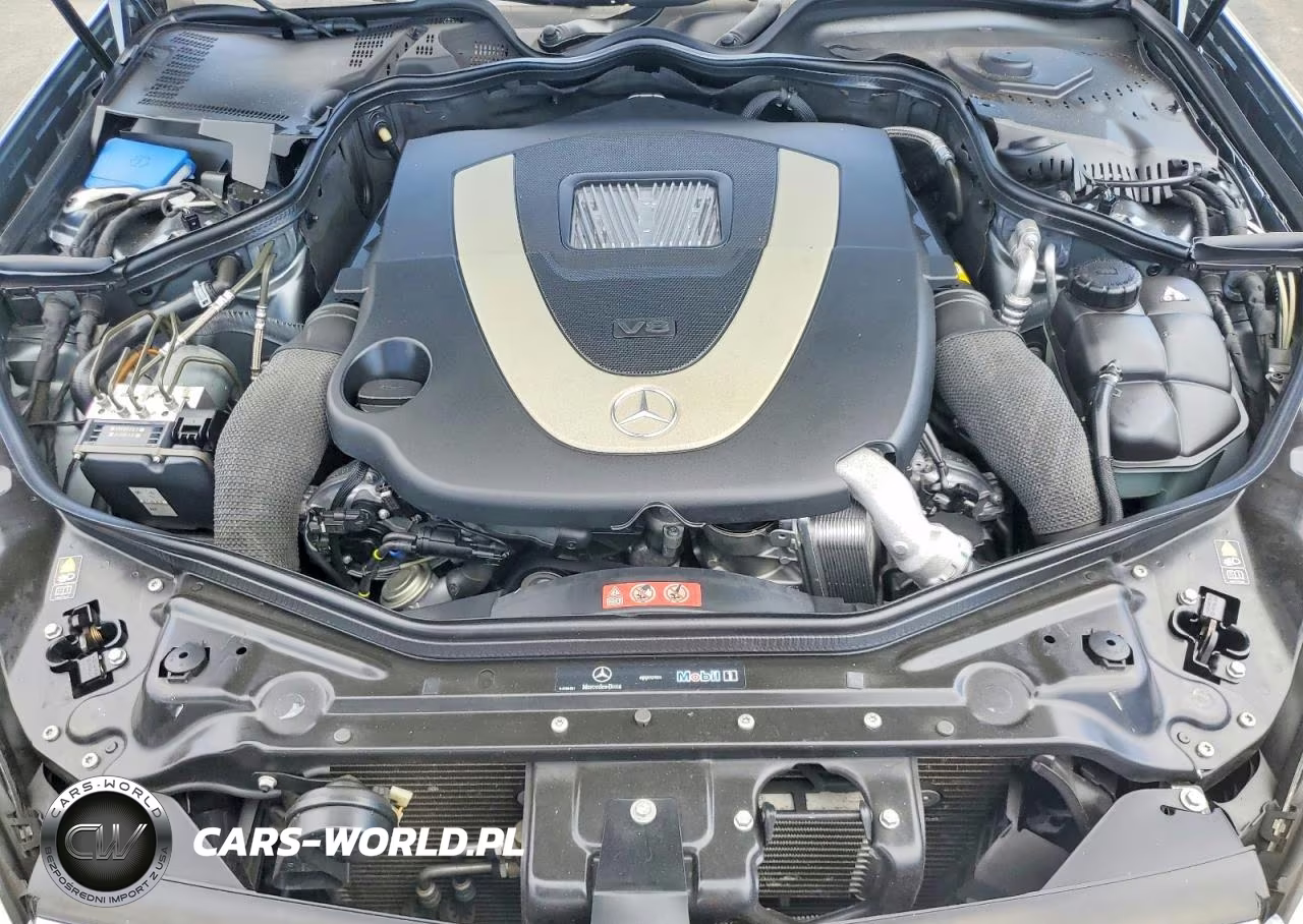 2009 Mercedes-Benz Cls 550 VIN:WDDDJ72X69A141895 - 11