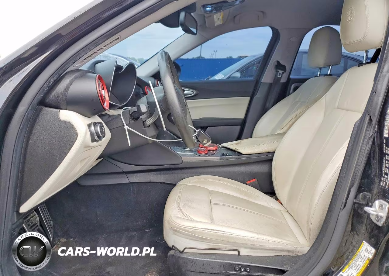 2019 Alfa Romeo Giulia VIN:ZARFANAN0K7605876 - 7