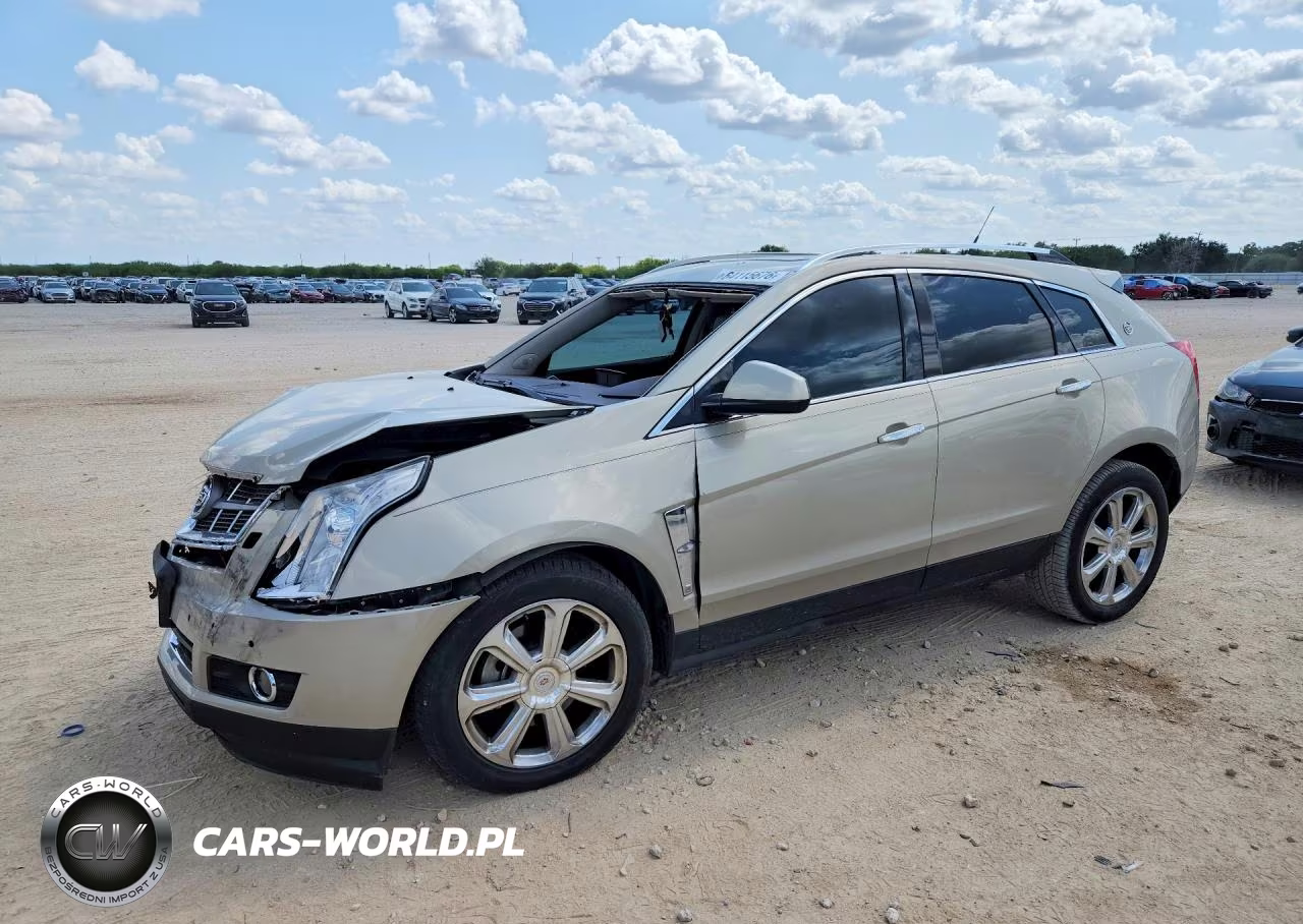 2010 Cadillac Srx Performance Collection VIN:3GYFNJE40AS571196 - 1