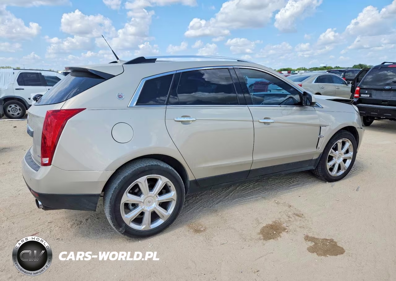 2010 Cadillac Srx Performance Collection VIN:3GYFNJE40AS571196 - 3