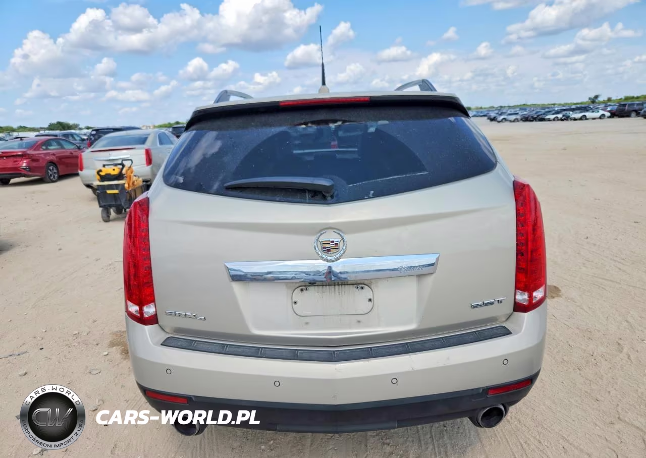 2010 Cadillac Srx Performance Collection VIN:3GYFNJE40AS571196 - 6