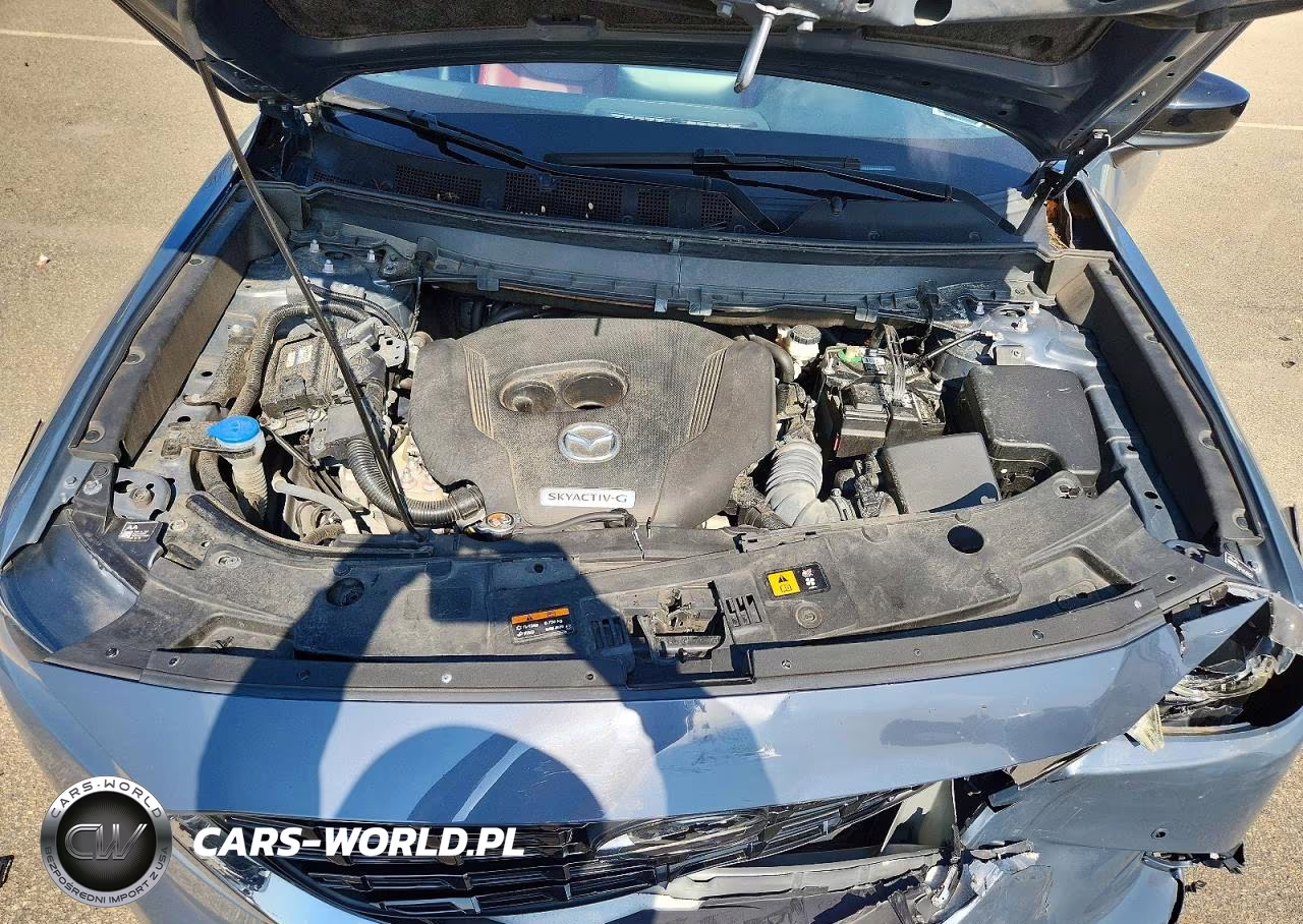 2021 Mazda Cx-9 Grand Touring VIN:JM3TCBDY0M0518851 - 12