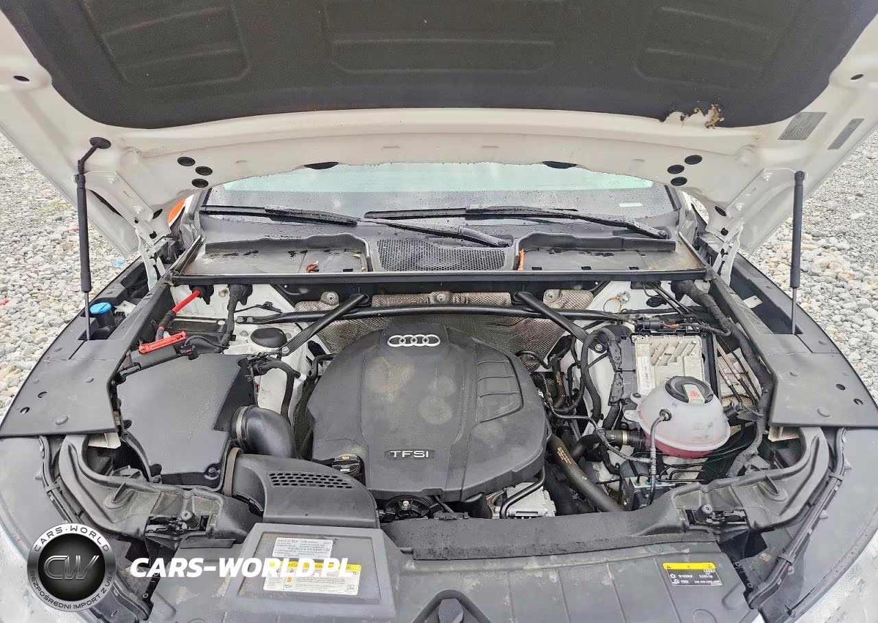 2019 Audi Q5 Prestige VIN:WA1CNAFY9K2103033 - 12