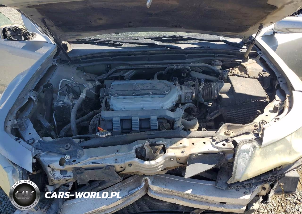 2010 Acura Tl VIN:19UUA8F21AA004125 - 11
