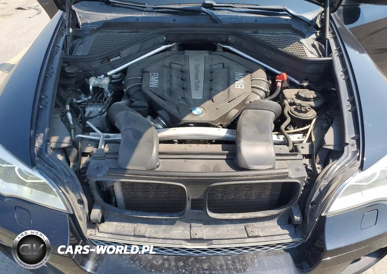 2013 BMW X6 xDrive50I VIN:5UXFG8C52DL592080 - 12
