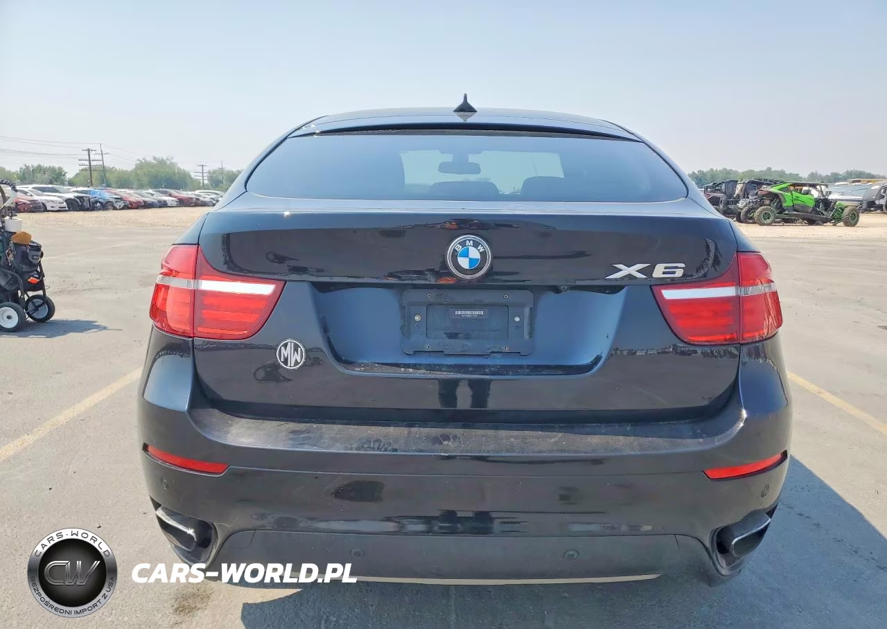 2013 BMW X6 xDrive50I VIN:5UXFG8C52DL592080 - 6
