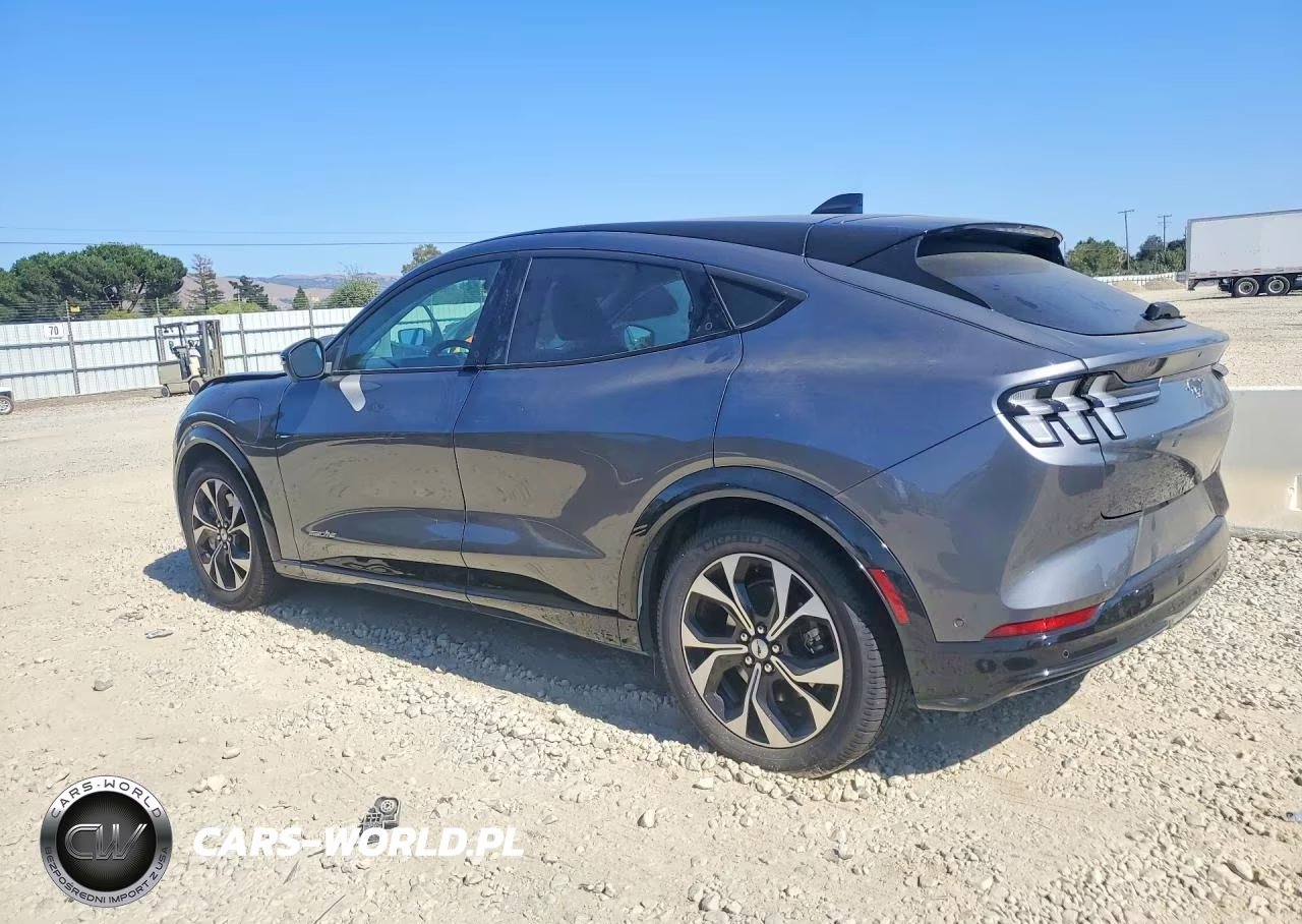 2023 Ford Mustang Mach-E Premium VIN:3FMTK3RM2PMA02687 - 2