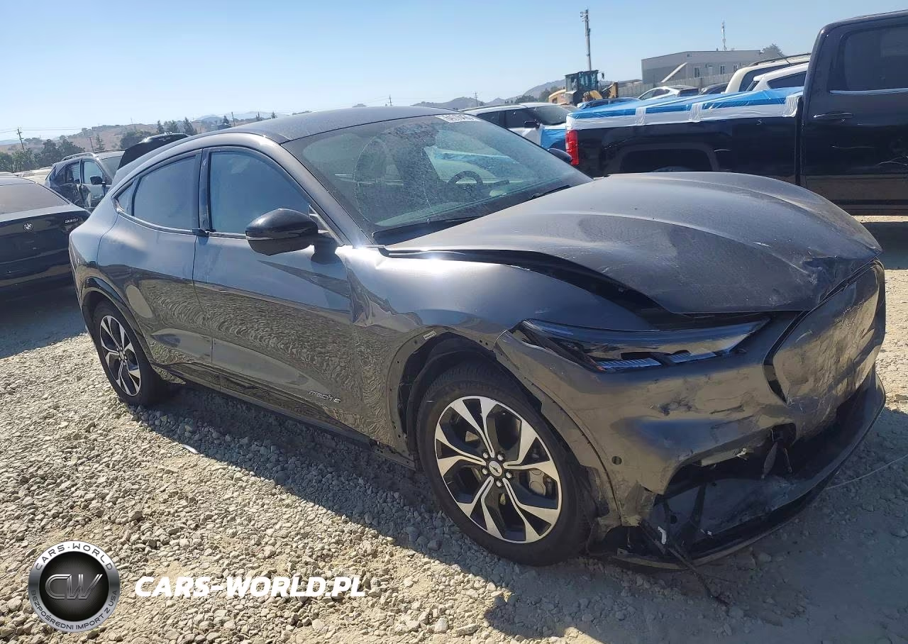 2023 Ford Mustang Mach-E Premium VIN:3FMTK3RM2PMA02687 - 4