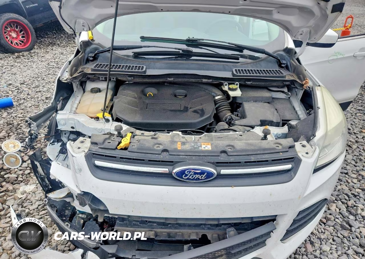 2014 Ford Escape Se VIN:1FMCU0G98EUE24527 - 11
