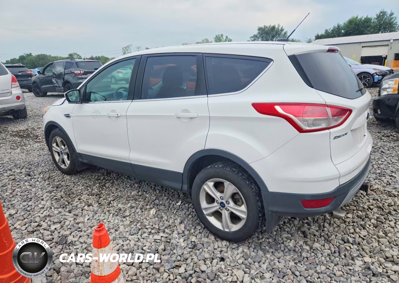 2014 Ford Escape Se VIN:1FMCU0G98EUE24527 - 2