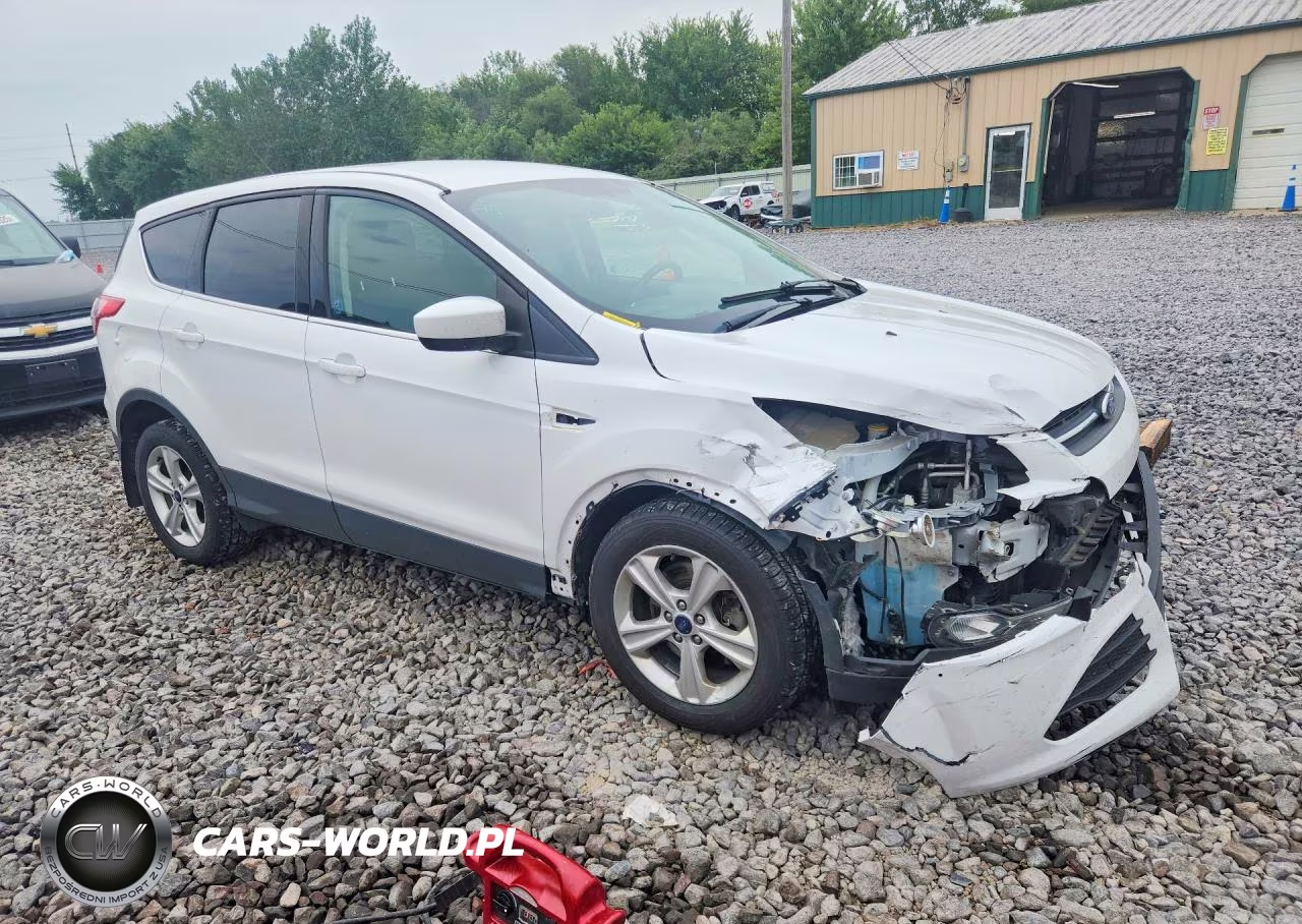 2014 Ford Escape Se VIN:1FMCU0G98EUE24527 - 4