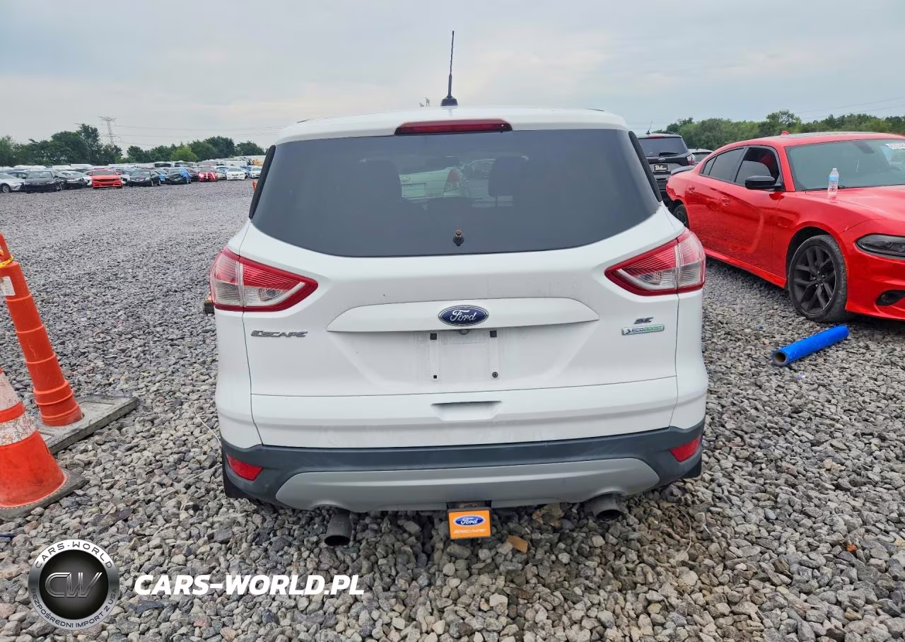 2014 Ford Escape Se VIN:1FMCU0G98EUE24527 - 6