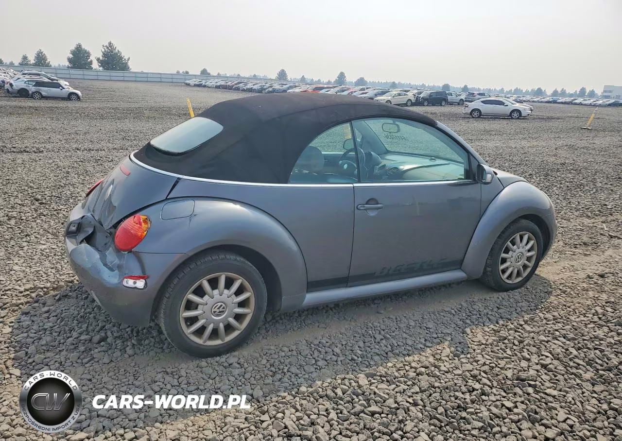 2005 Volkswagen New Beetle Gls VIN:3VWCM31Y95M302850 - 3