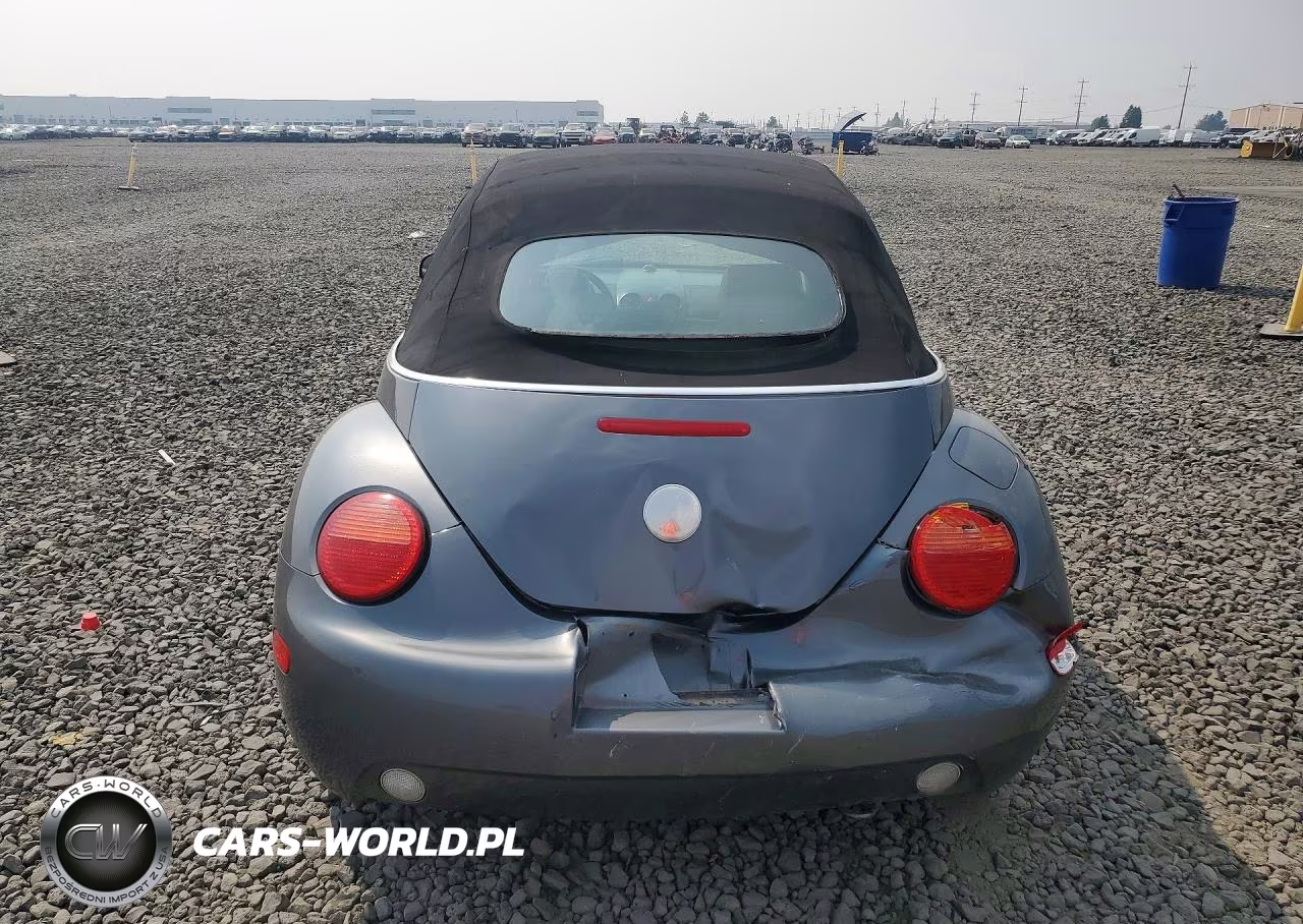 2005 Volkswagen New Beetle Gls VIN:3VWCM31Y95M302850 - 6