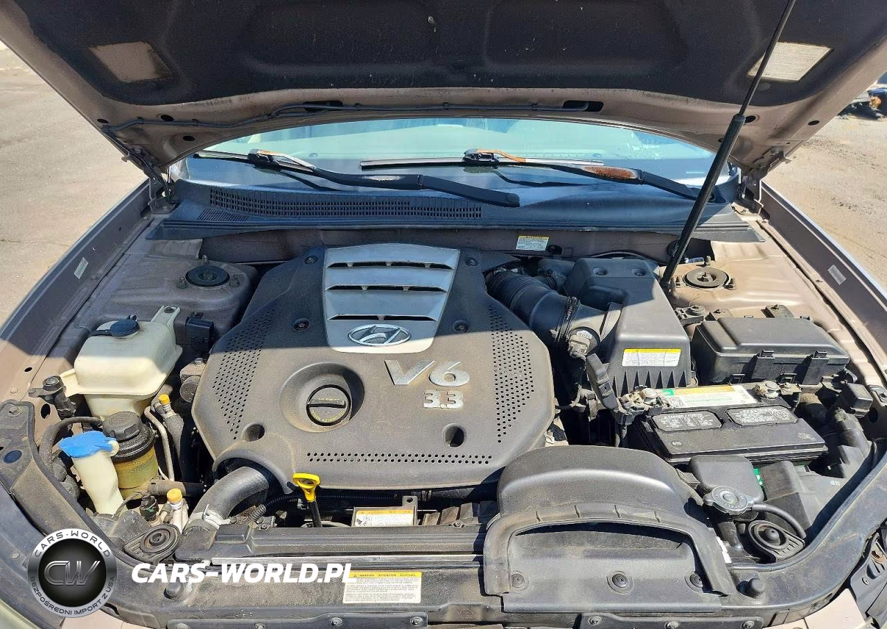 2007 Hyundai Sonata Se VIN:5NPEU46F17H219415 - 11