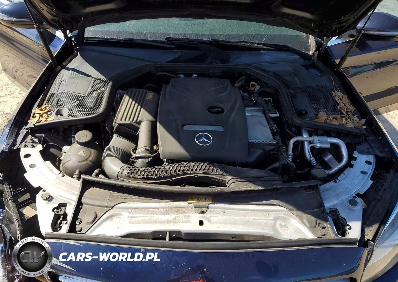2018 Mercedes-Benz C 300 VIN:55SWF4JB5JU236421 - 11