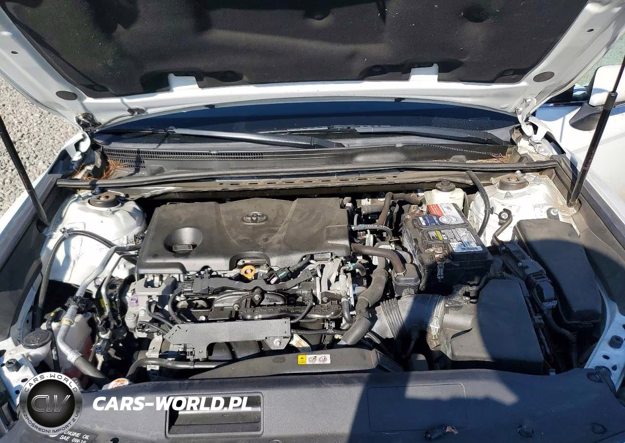 2019 Toyota Camry Xse VIN:4T1B61HK1KU300060 - 11